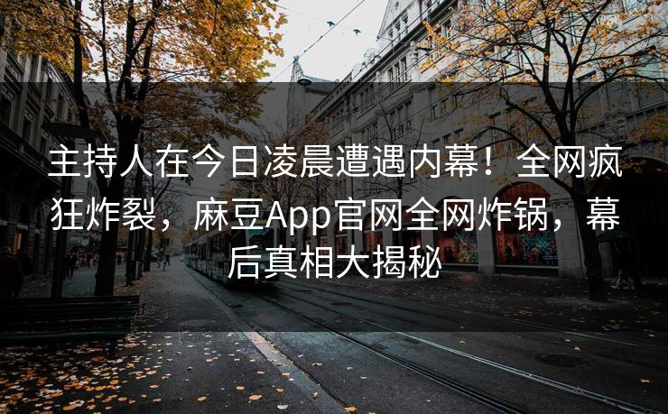 主持人在今日凌晨遭遇内幕！全网疯狂炸裂，麻豆App官网全网炸锅，幕后真相大揭秘