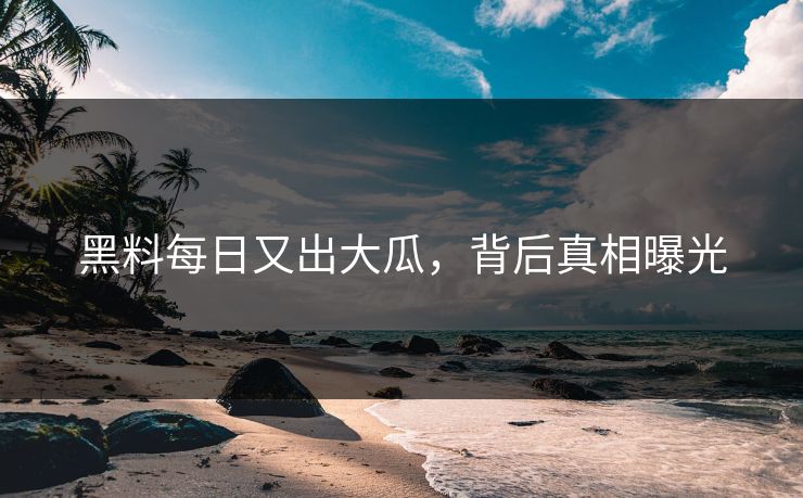 黑料每日又出大瓜，背后真相曝光