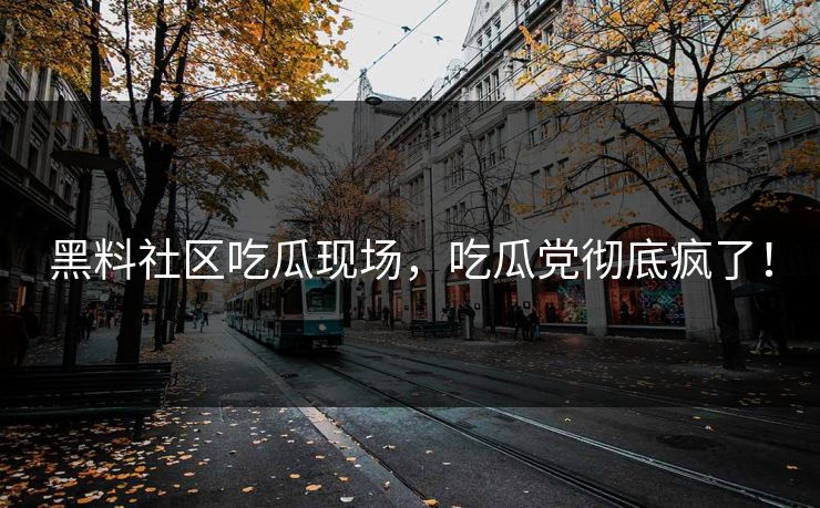 黑料社区吃瓜现场，吃瓜党彻底疯了！