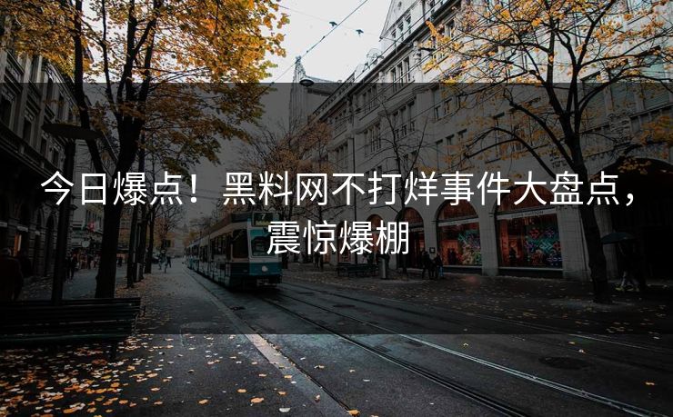 今日爆点！黑料网不打烊事件大盘点，震惊爆棚