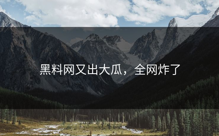黑料网又出大瓜，全网炸了
