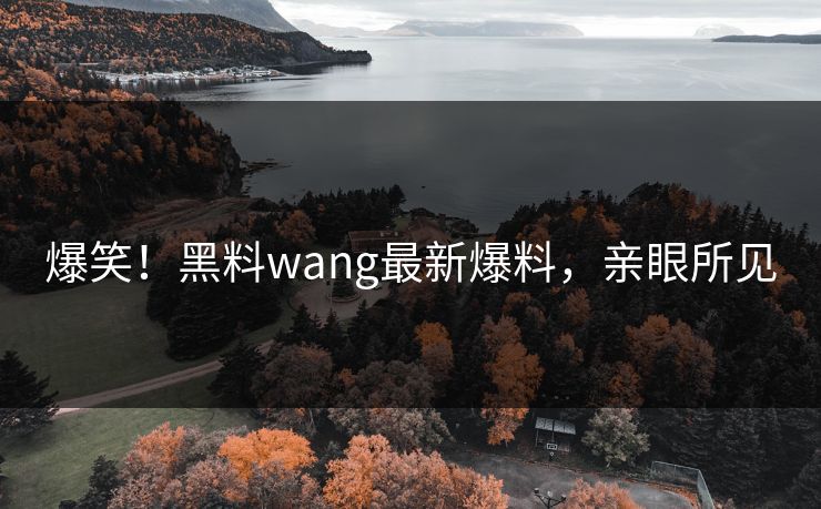 爆笑！黑料wang最新爆料，亲眼所见