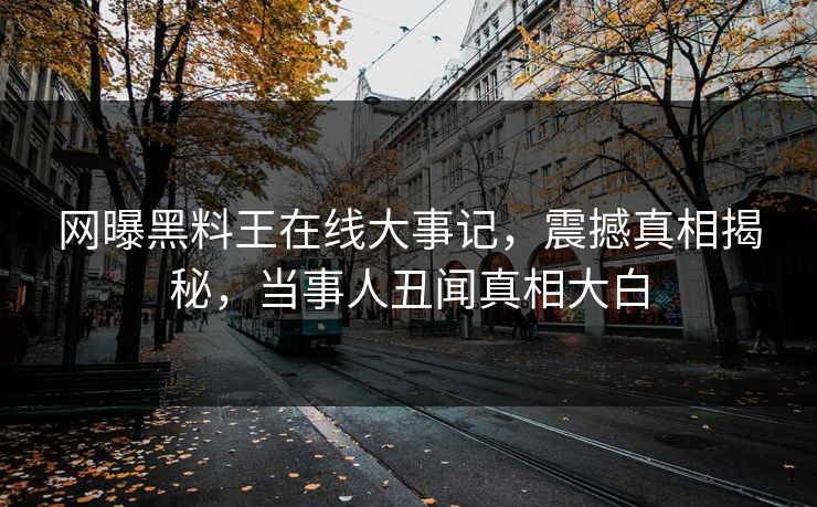 网曝黑料王在线大事记，震撼真相揭秘，当事人丑闻真相大白