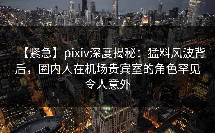 【紧急】pixiv深度揭秘：猛料风波背后，圈内人在机场贵宾室的角色罕见令人意外