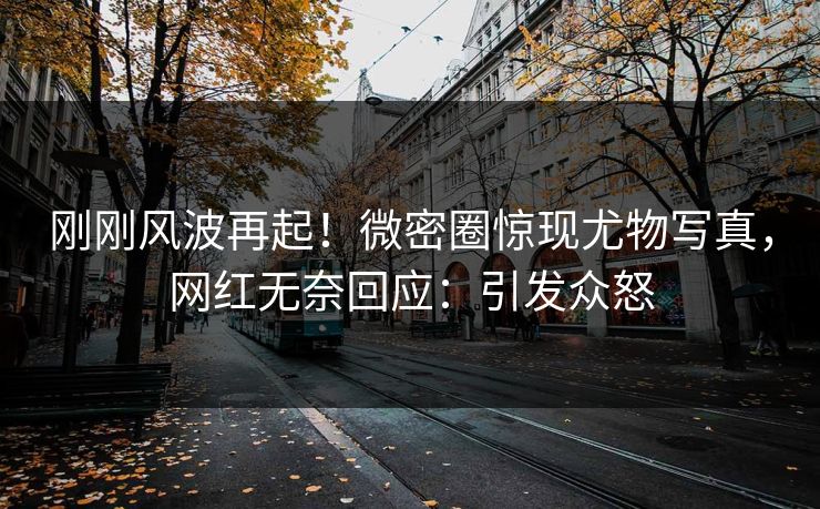 刚刚风波再起！微密圈惊现尤物写真，网红无奈回应：引发众怒