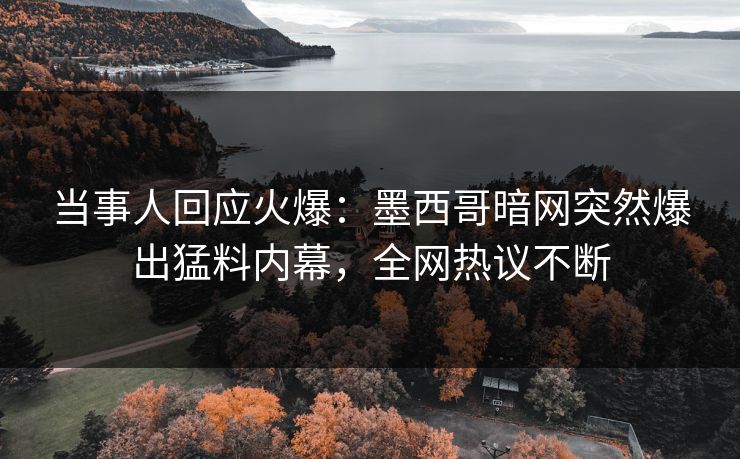 当事人回应火爆：墨西哥暗网突然爆出猛料内幕，全网热议不断