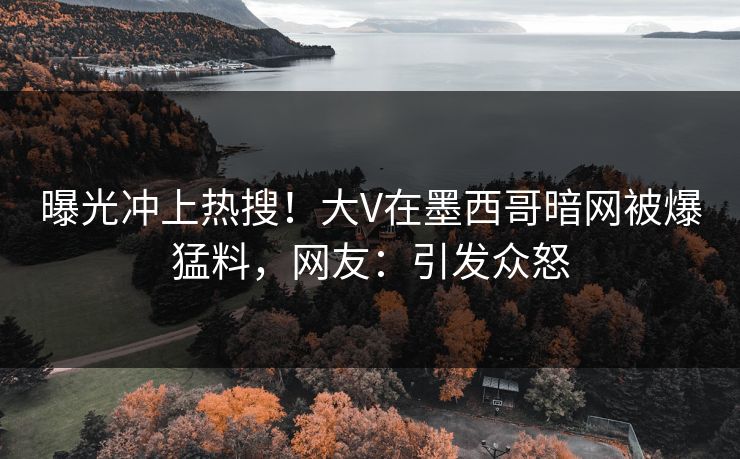曝光冲上热搜！大V在墨西哥暗网被爆猛料，网友：引发众怒