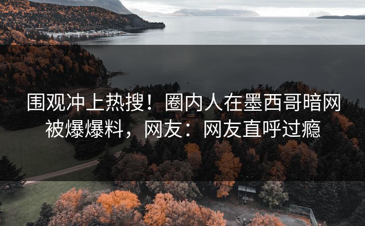 围观冲上热搜！圈内人在墨西哥暗网被爆爆料，网友：网友直呼过瘾