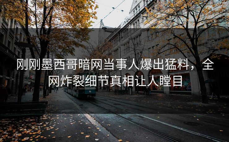 刚刚墨西哥暗网当事人爆出猛料，全网炸裂细节真相让人瞠目
